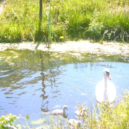 Ferienwohnung Am Heegesee Wesenberg